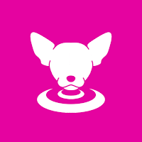 AyChihuahua
