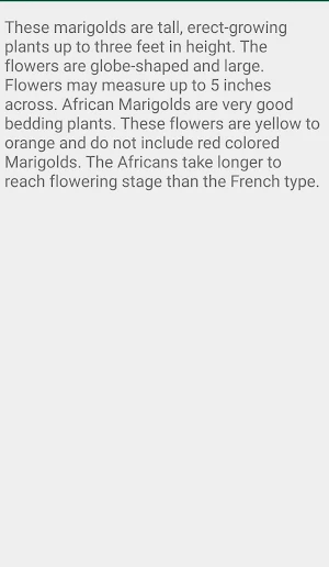 Description of Marigold Flower Screenshot 3