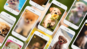 Puppy Live Wallpapers PRO Screenshot 0