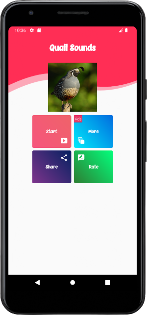 Quail Sounds & Calls Screenshot 0
