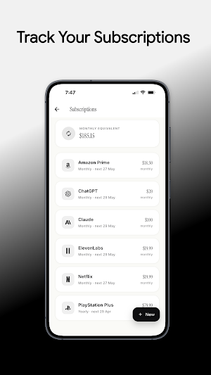 DaySpend - AI Expense Tracker Screenshot 2
