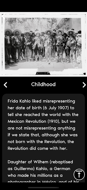 Frida Khalo Immersive Brussels Screenshot 2