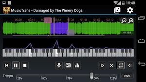 MusicTrans tool for musicians Screenshot 0