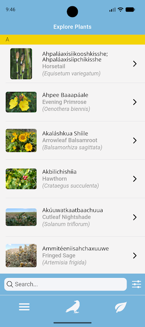 Apsáalooke Birds & Plants Screenshot 2