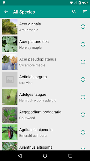 Outsmart Invasive Species Screenshot 2