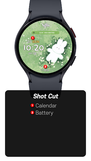 SamWatch T Toon R・T V11 Screenshot 2