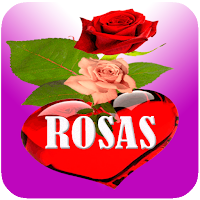 Rosas con Frases de Amor
