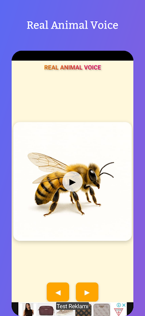 Real Animal Voice Offline Screenshot 2