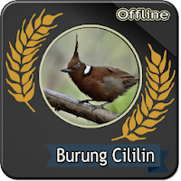 Suara Burung Cililin Gacor Offline