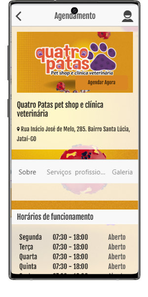 Quatro Partas Screenshot 1