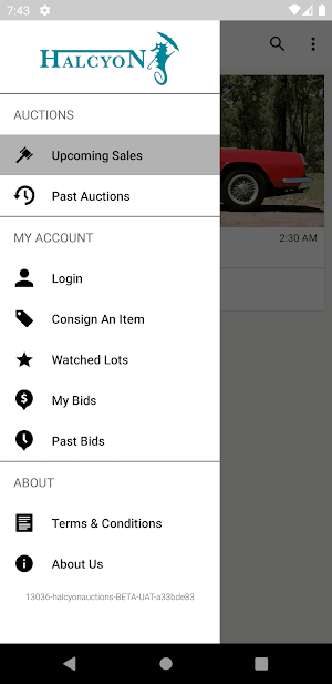 Halcyon Auctions Screenshot 1