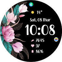 TVV Spring 2 Watch Face