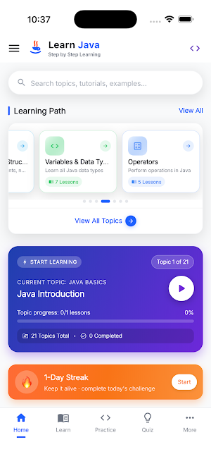 Learn Java Programming Screenshot 0