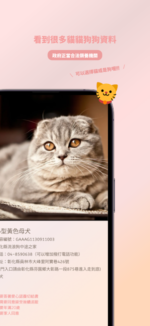 寵物領養紀錄 : 2026製Dcard寵物版鄉民角度開發 Screenshot 3
