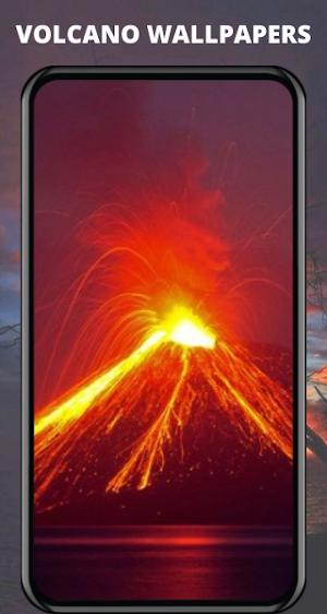 Wallpapers and Backgrounds Screenshot 2
