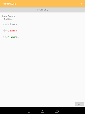 Pluralbildung - German Nouns Screenshot 3