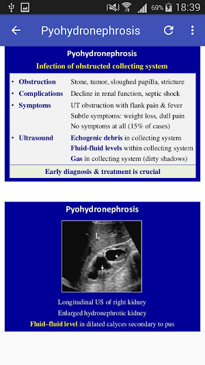Ultrasound Urinary Tract Screenshot 2