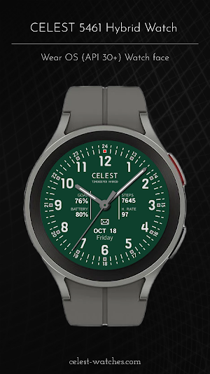 CELEST5461 Hybrid Watch Screenshot 3