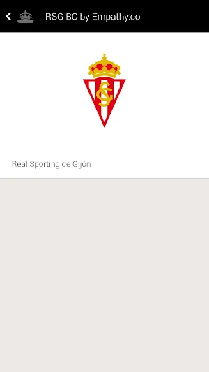 RSG Business Screenshot 2