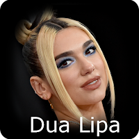 Dua Lipa:Puzzle,Wallpapers