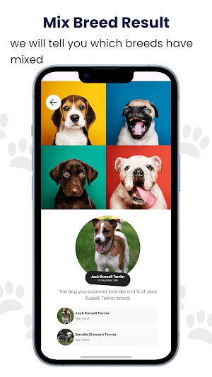 Dog Scanner: Breed Recognition Screenshot 2