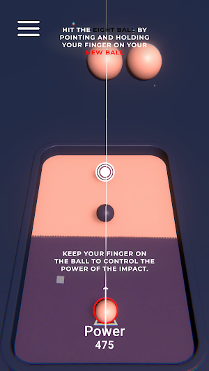 Crazy Pool Puzzle Screenshot 3