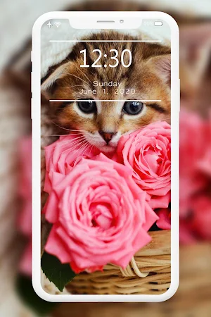 Cutest Cats Wallpaper 🐈😻 Screenshot 2