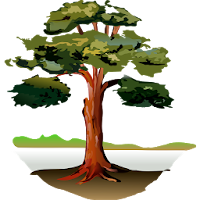 Trees