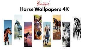 Horse Wallpaper Offline Screenshot 0