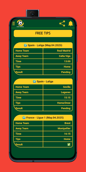 Flash Scores Screenshot 1