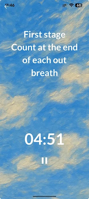 BuddhaMind Screenshot 2
