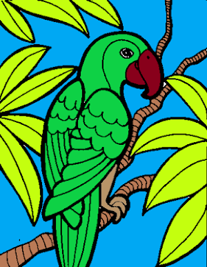 Coloring Birds Screenshot 1