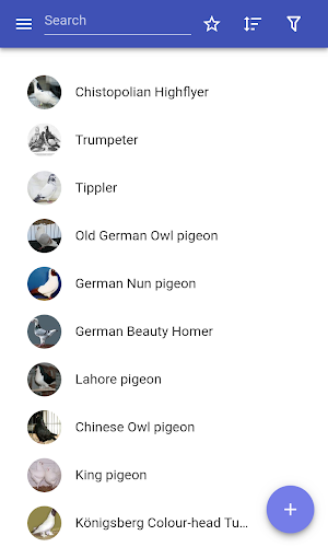 Breeds of pigeons Screenshot 0