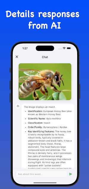 Bug Identifier: AI Scanner Screenshot 2