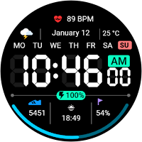 Digital Dashboard 3