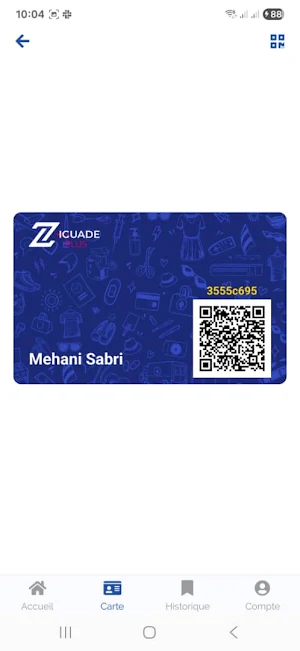 Ziguade plus Screenshot 2
