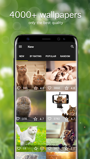 Cat Wallpapers & Kitten Backgrounds Screenshot 0
