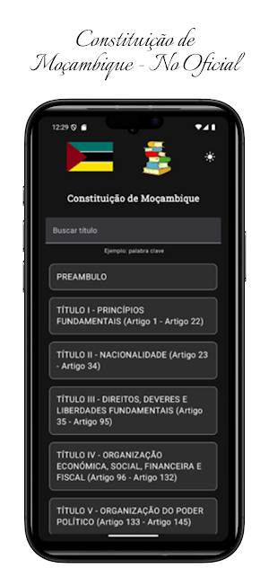 Constituição de Moçambique Screenshot 2
