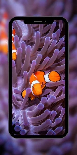 Wallpaper Nemo Fish Screenshot 3