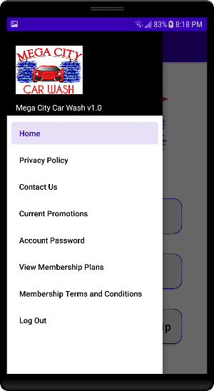 Mega City Car Wash Screenshot 2