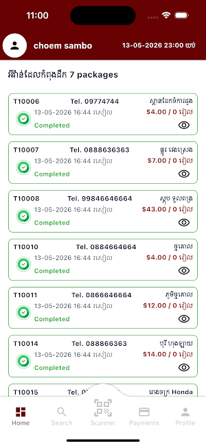 Toro Express Screenshot 2
