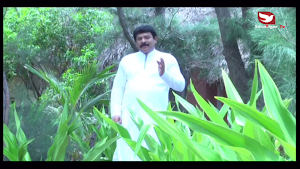 Sirustigar TV Screenshot 0