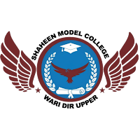 Shaheen Model College