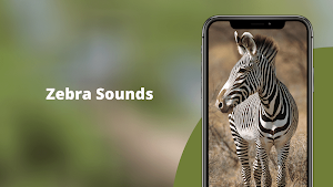 Zebra Sounds Screenshot 0