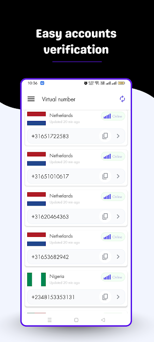 Virtual Number Receive SMS Screenshot 3