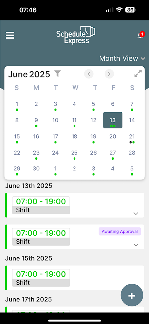 Schedule Express Screenshot 2