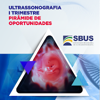 Ultrassonografia I Trimestre Pirâmide de Oportunid