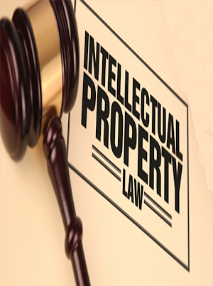Intellectual property law Screenshot 0