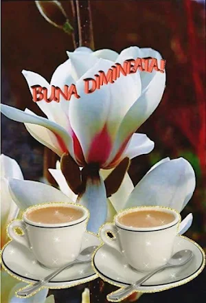 Buna dimineata Screenshot 0