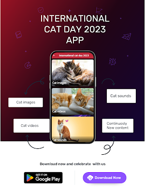 international cat day 2023 Screenshot 3